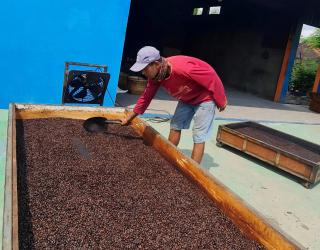 Rumah BUMN SIG Sukses Bawa Kopi Rembang Tembus Pasar Nasional