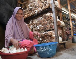 Kisah Perempuan-perempuan Padang Menyemai Asa Bersama SIG dengan Jamur Tiram