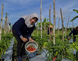 Surabaya Siap Nataru: Stok Melimpah, Harga Stabil Kecuali Cabai Rawit Naik