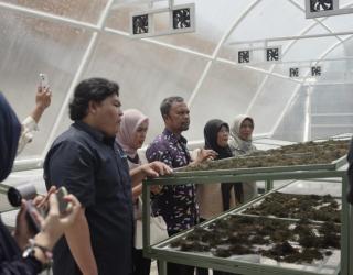 Berbasis IoT dan Energi Surya, SMART DRYVA Bantu Petani Rumput Laut Hadapi Musim Hujan