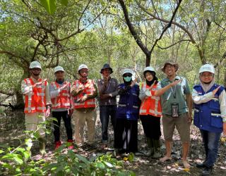 TPS Integrasikan Mangrove dan EBT untuk Kurangi Emisi
