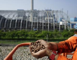 PLN Nusantara Power Raih Penghargaan Presiden atas Inovasi Co-Firing Biomassa
