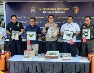 Penyelundupan Gading Gajah, Benih Lobster dan Kupu-kupu Langka Digagalkan Polda Jatim