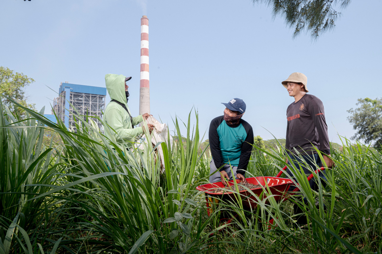 Foto program SIPANDU DESI PLN NP yang menggabungnkan antara energi bersih dan ketahanan pangan.