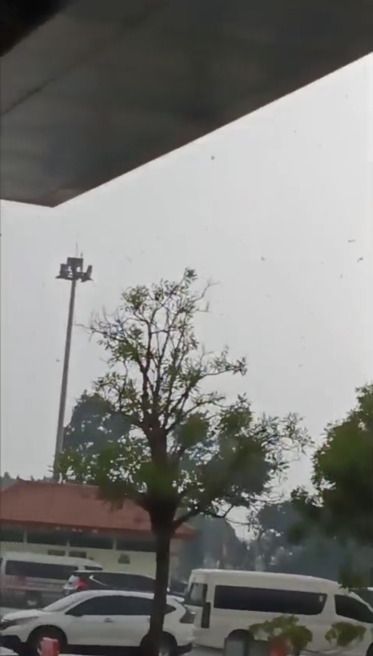 Tangkapan layar dari Cuplikan video yang memperlihatkan angin kencang menumbangkan pohon di area parkir Terminal 1 Bandara Internasional Juanda.